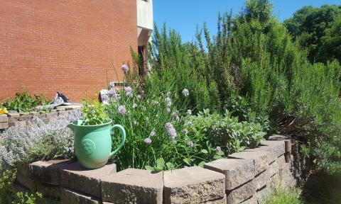 Part of the Community Garden at Georgia Tech
