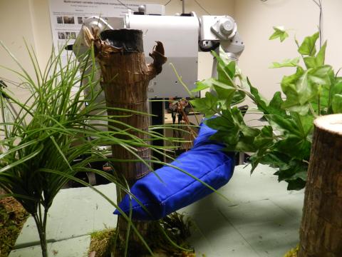 Robots Reaching Through Clutter - 1