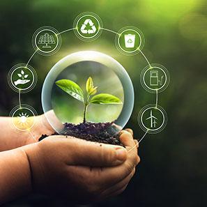 Decarbonizing the Pulp, Paper and Biorefining Industries: Towards Carbon Neutrality