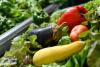 Image of lettuce, yellow squash, eggplant and red bell pepper
